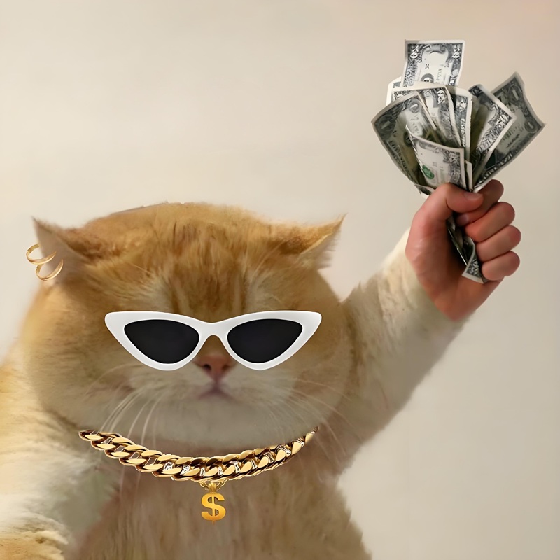 meme đưa tiền 25