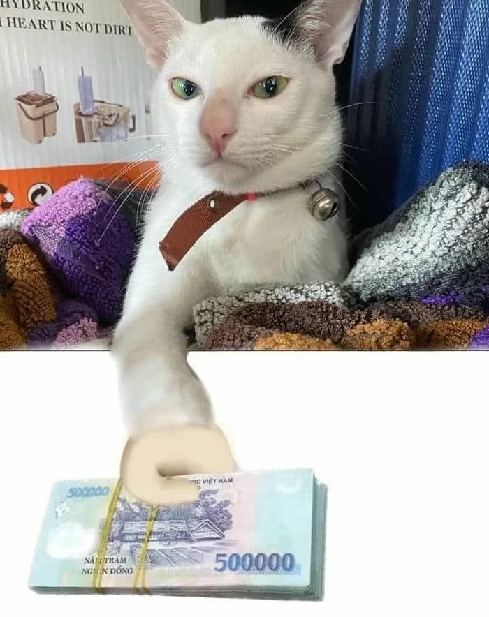 meme đưa tiền qua màn hình