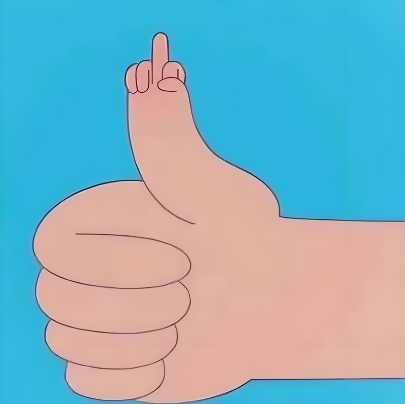 meme fuck you 17
