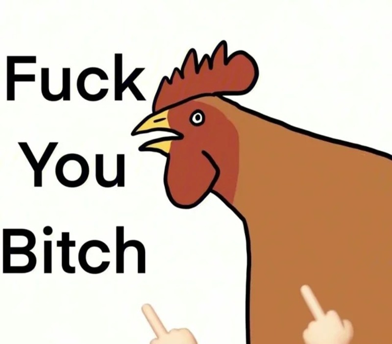meme fuck you 19