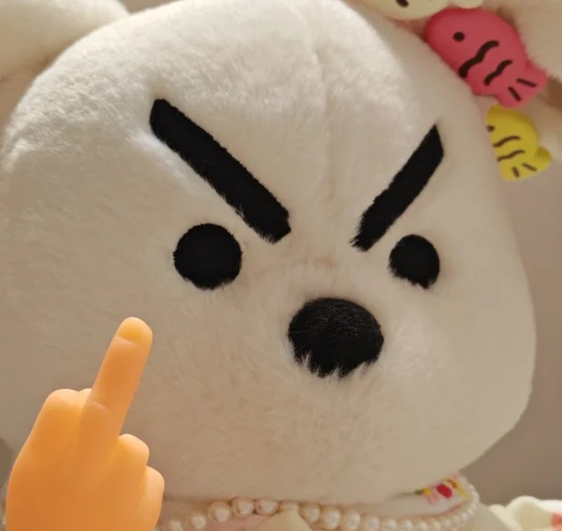 meme fuck you 20