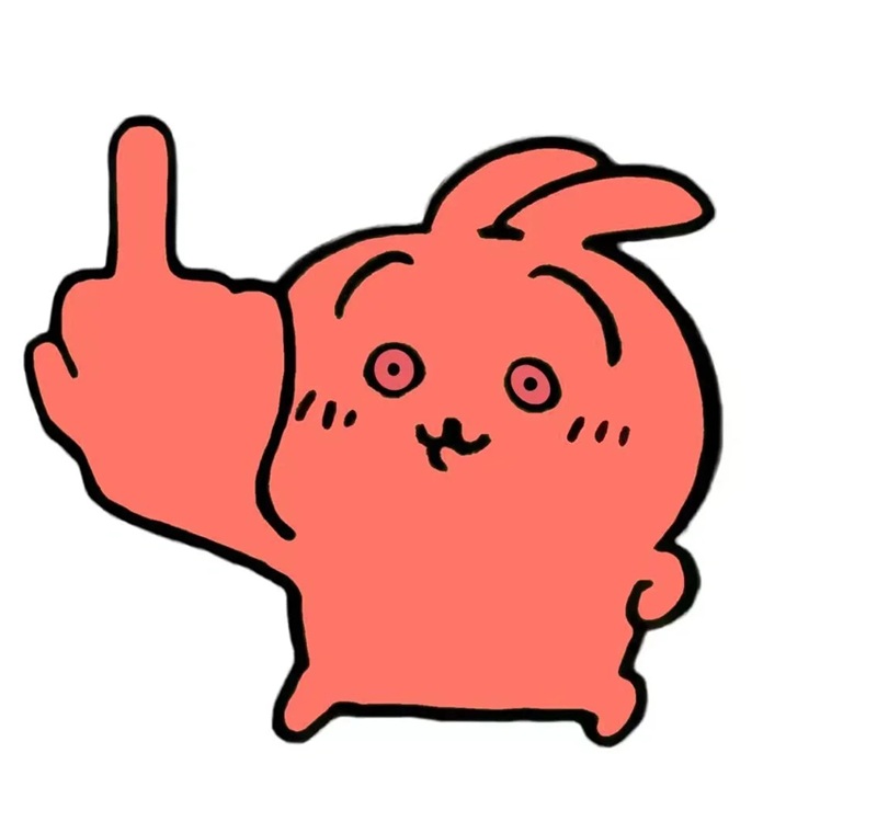 meme fuck you 26