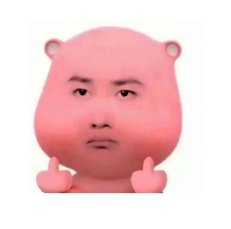 meme fuck you 30
