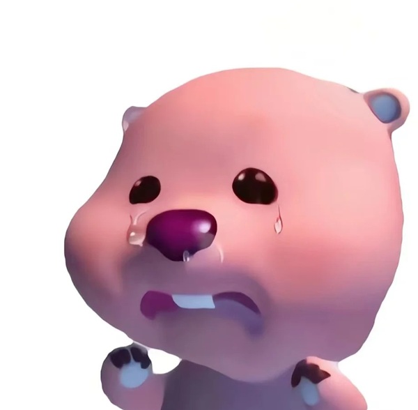 meme gấu hồng 11