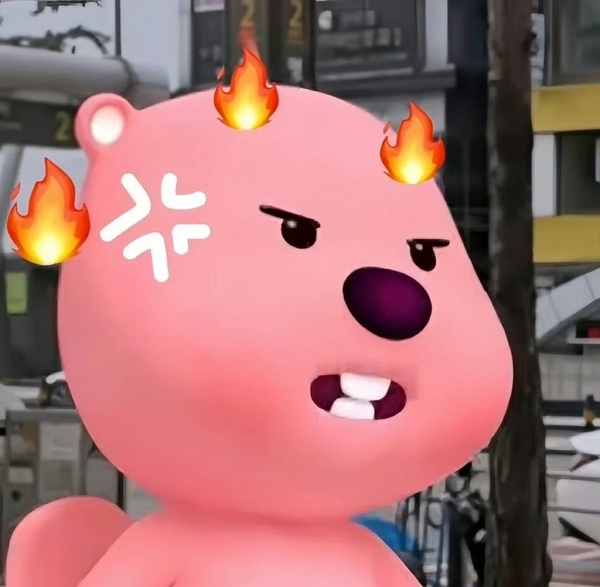 meme gấu hồng 12