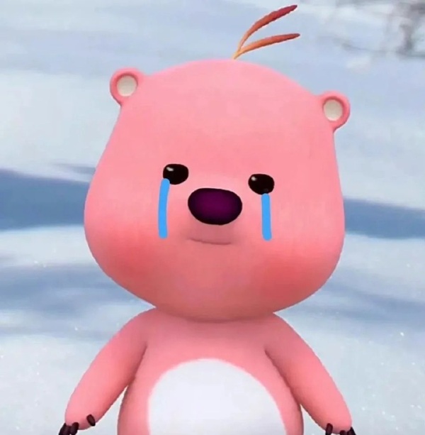 meme gấu hồng 21