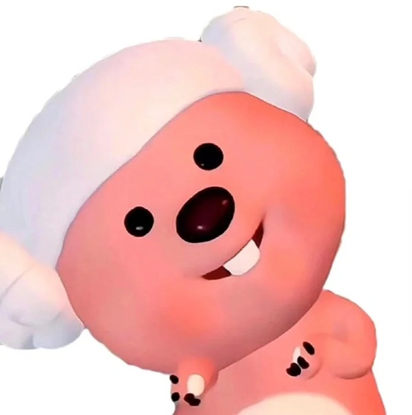 meme gấu hồng 24