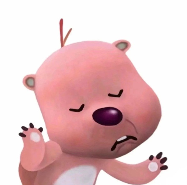 meme gấu hồng 30