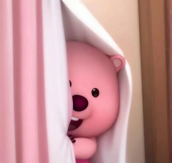 meme gấu hồng 33