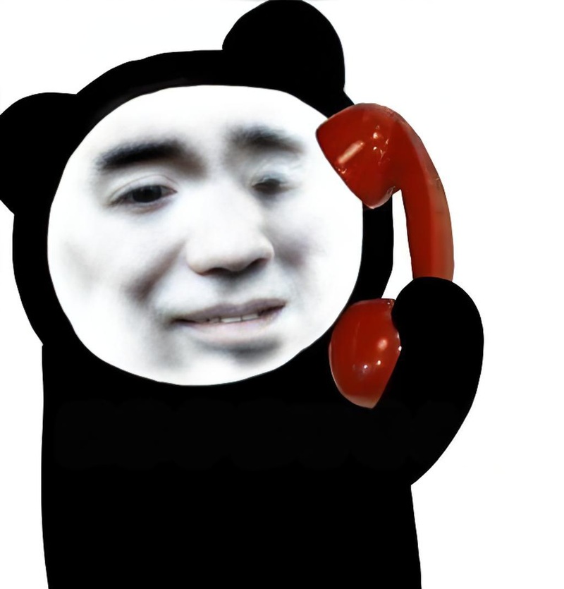 meme gấu trúc bựa weibo 3