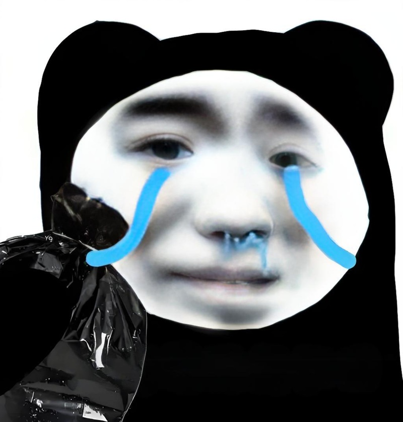 meme gấu trúc bựa weibo 7