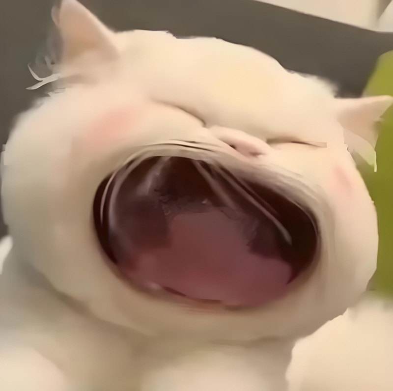 meme há mồm 24