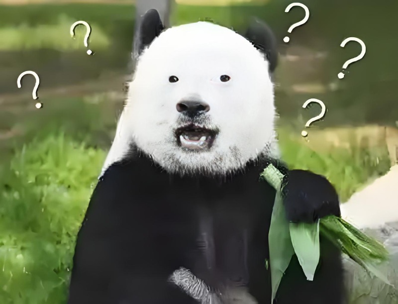 meme há mồm 25