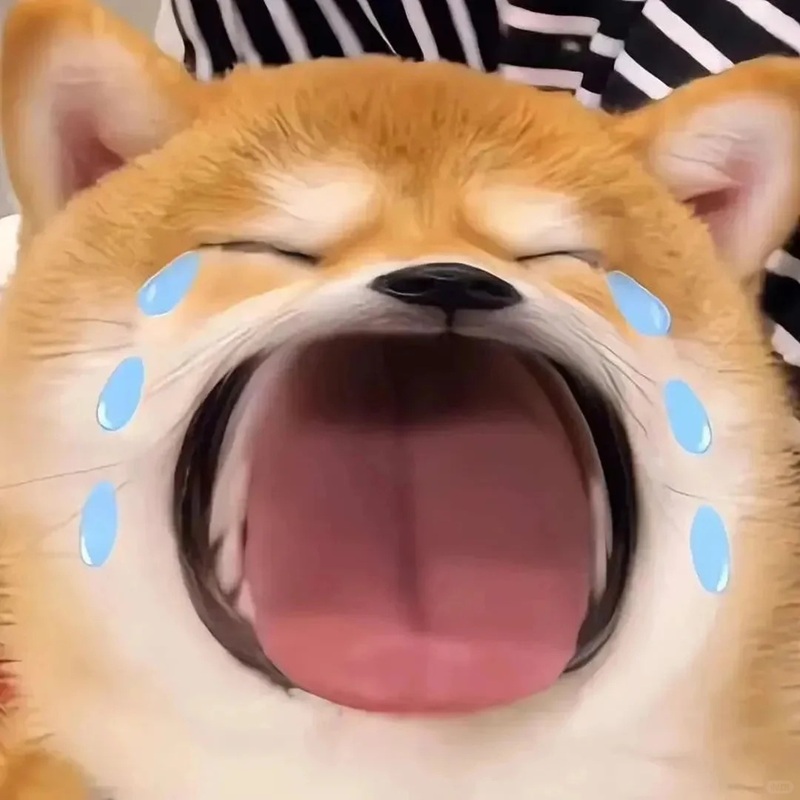 meme há mồm 28