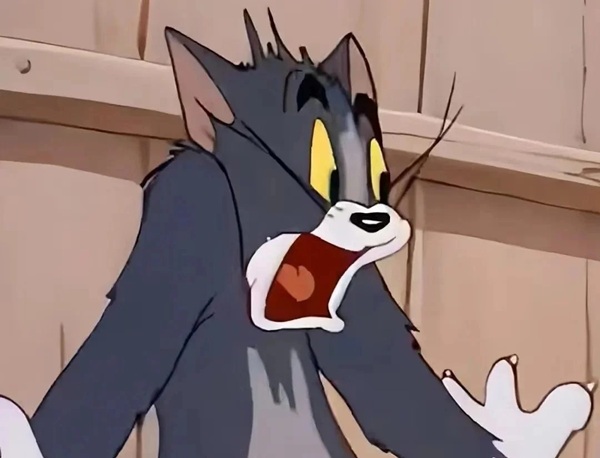 meme hoảng hốt 28