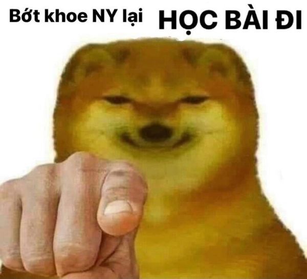 meme học bài 40
