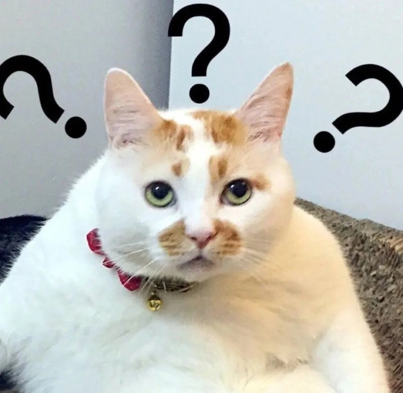 meme hỏi chấm 25