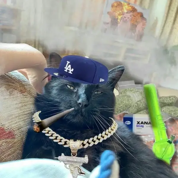 meme hút thuốc 13