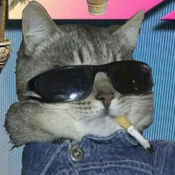 meme hút thuốc 17