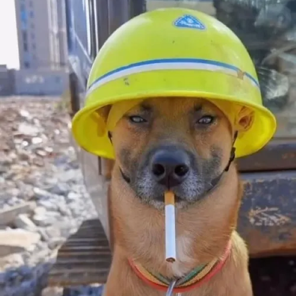 meme hút thuốc 18