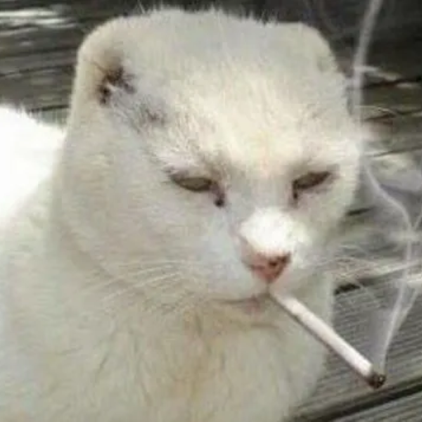 meme hút thuốc 20