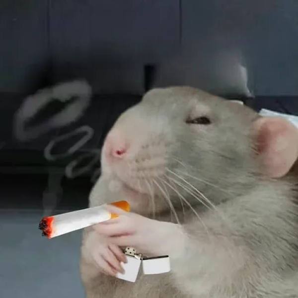 meme hút thuốc 23