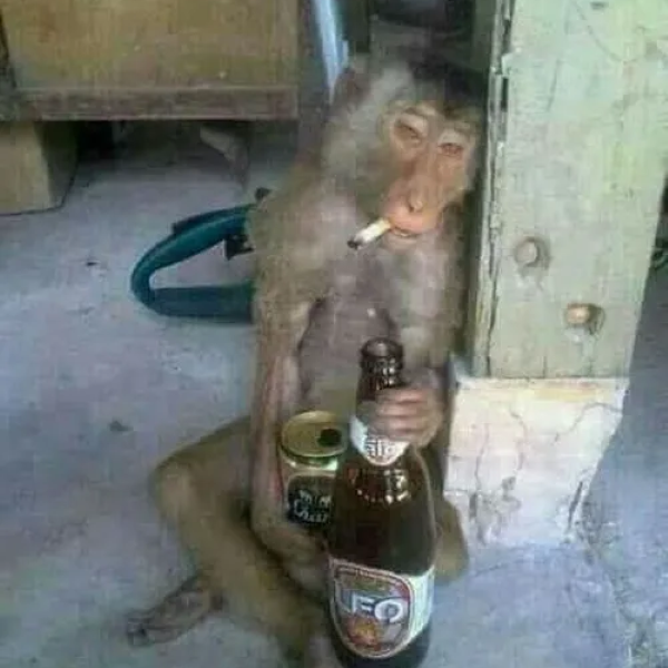 meme hút thuốc 26