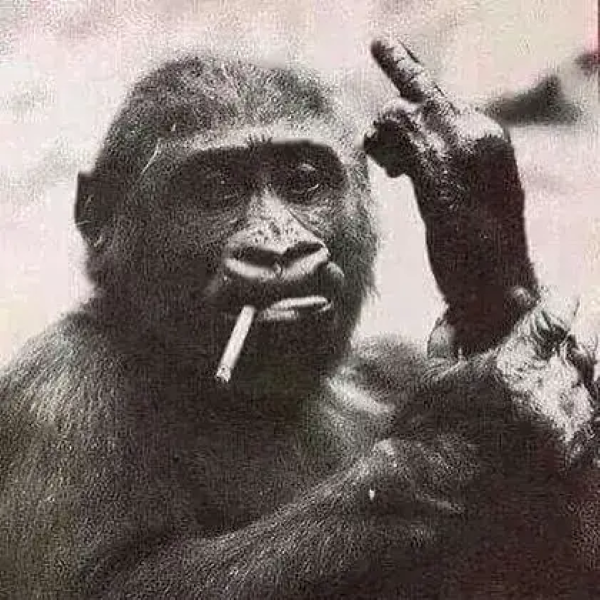 meme hút thuốc 29