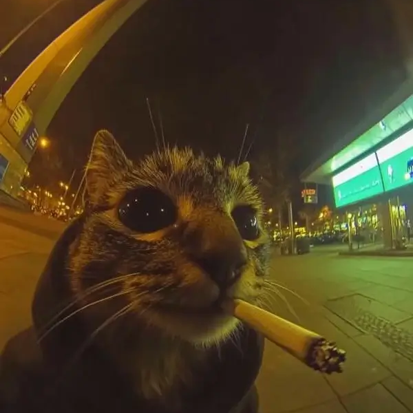 meme hút thuốc 36