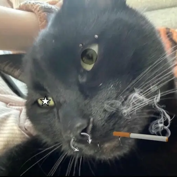 meme hút thuốc 37