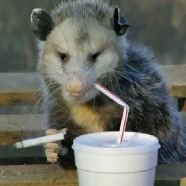 meme hút thuốc 38