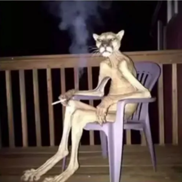 meme hút thuốc 40