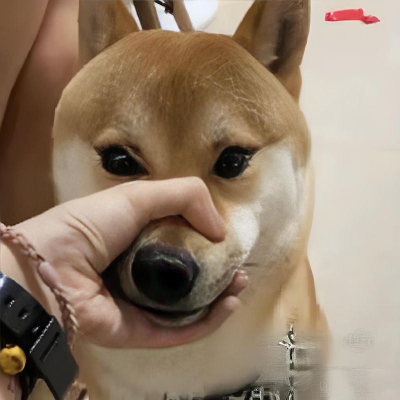 meme im lặng 19
