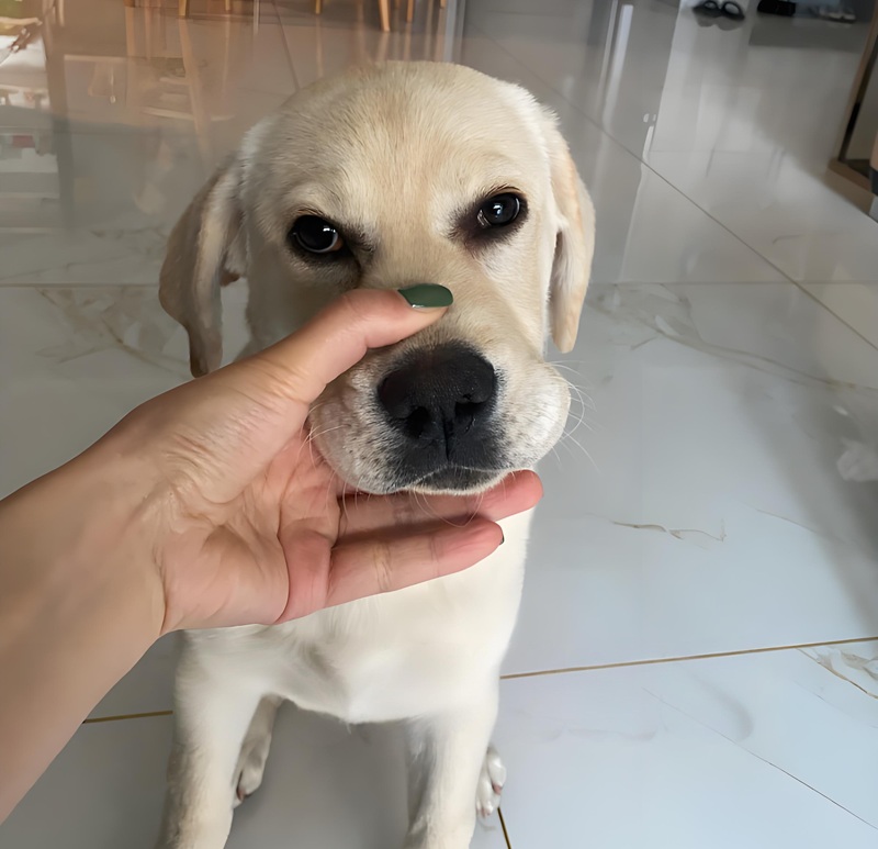 meme im lặng 30