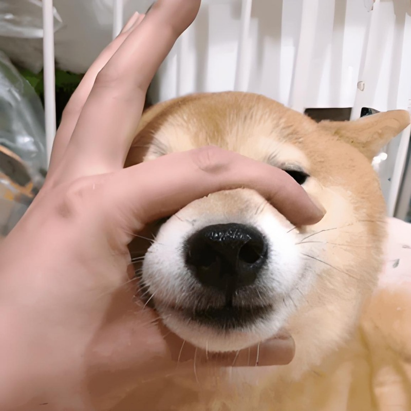 meme im lặng 4