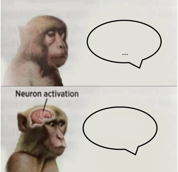 meme khỉ não bé