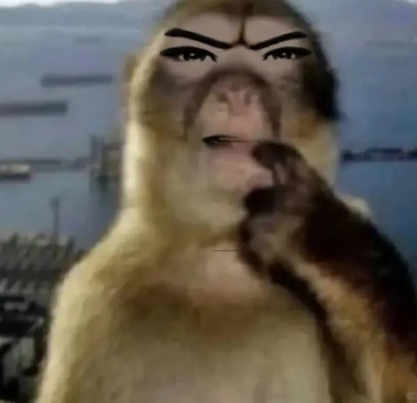 meme khỉ suy nghĩ 13