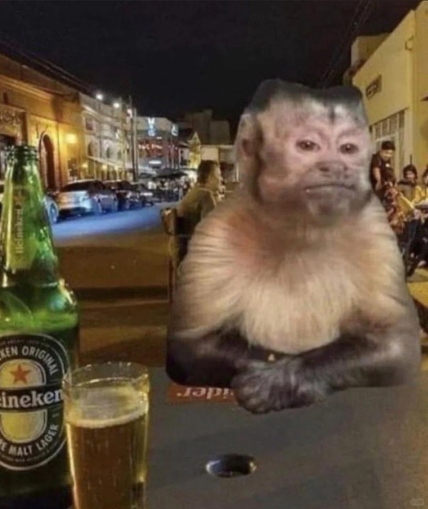 meme khỉ suy nghĩ 24