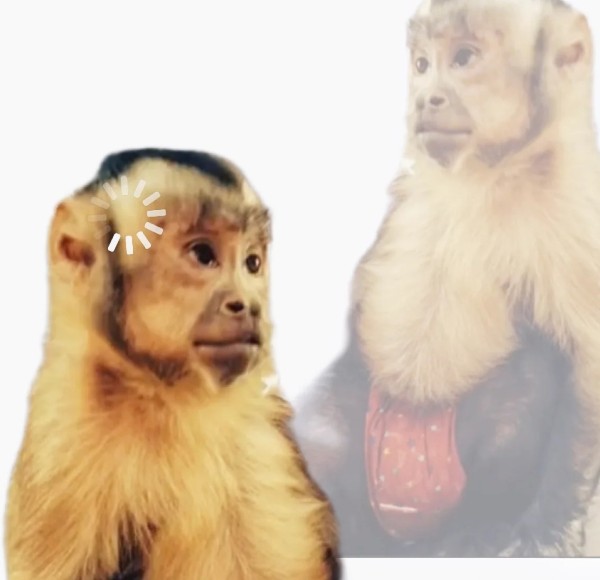 meme khỉ suy nghĩ 27