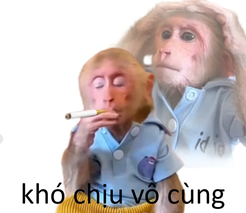 meme khó chịu vô cùng meme