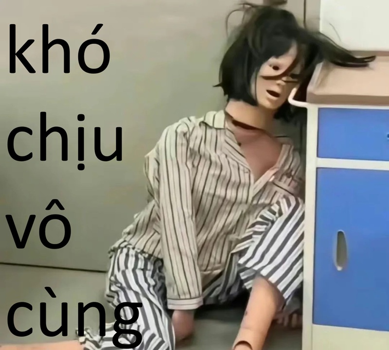 meme khó chịu