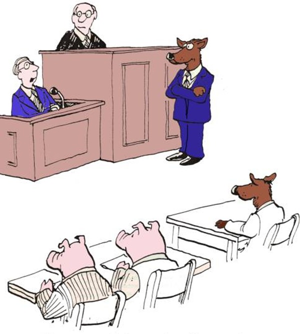"In my opinion the pigs did their share of huffing and puffing."