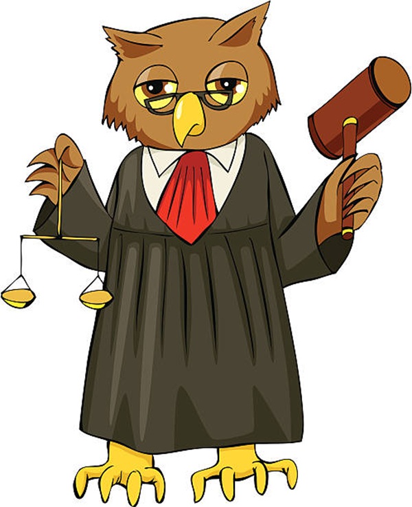 Cartoon illustration of an owl as a judge
