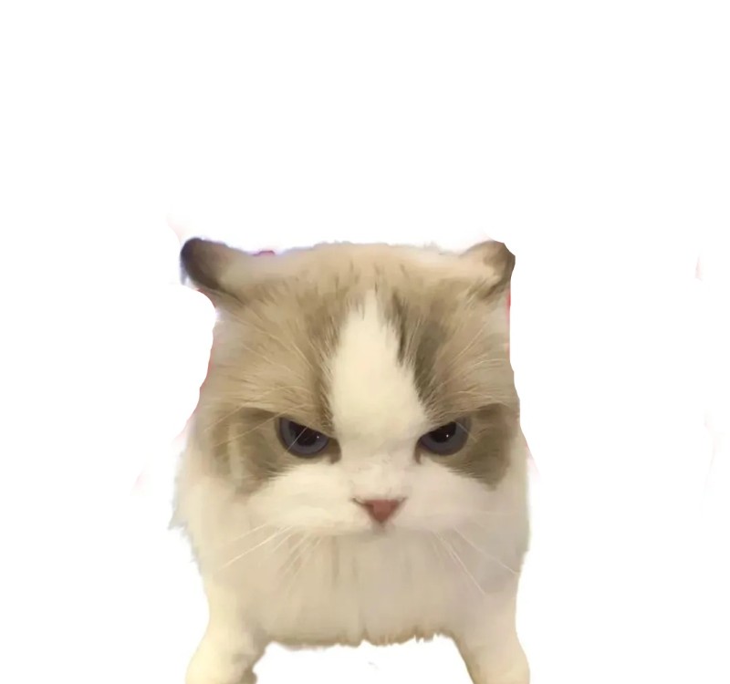 meme lườm 12 meme lườm 12