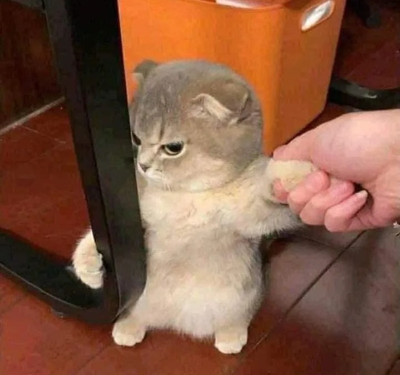 meme lườm 13 meme lườm 13