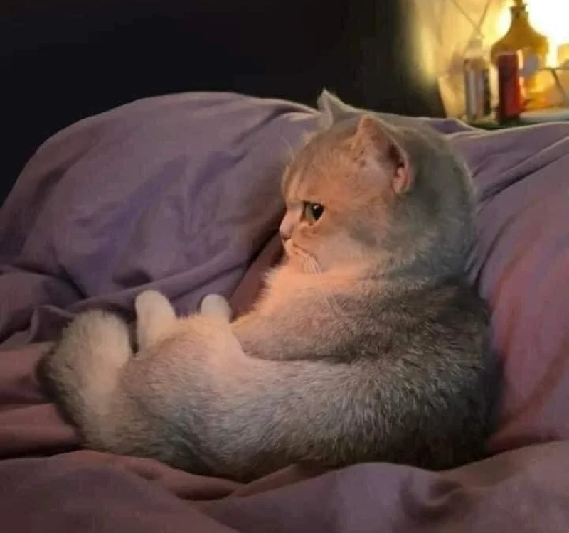 meme lườm 15 meme lườm 15