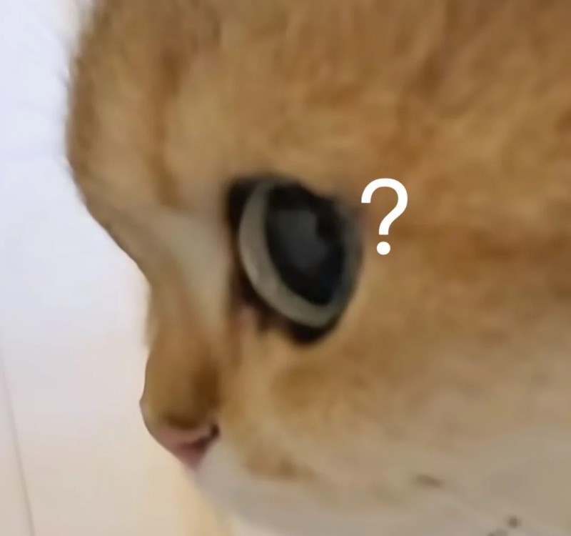 meme lườm 17 meme lườm 17