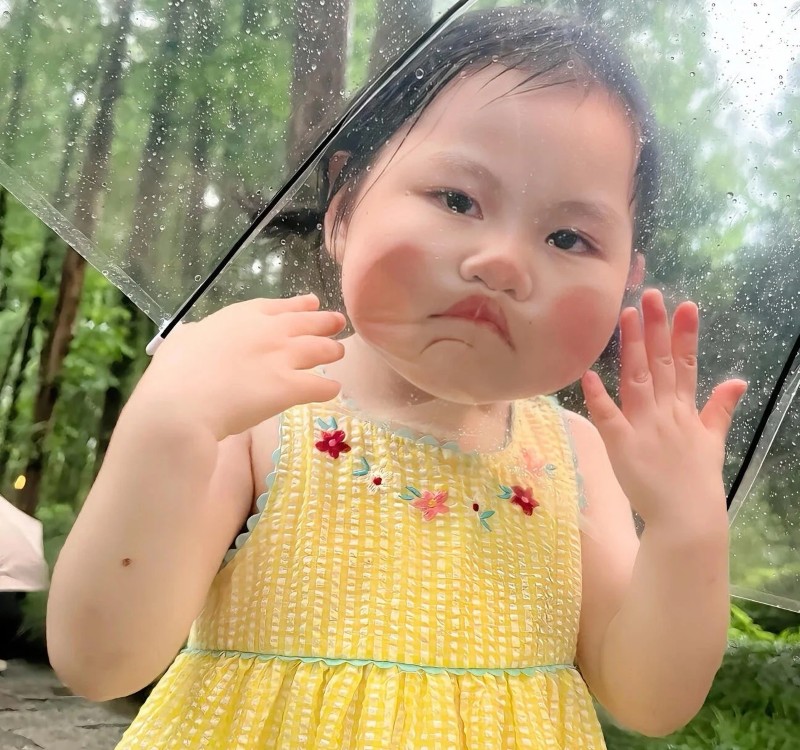 meme lườm 24 meme lườm 24