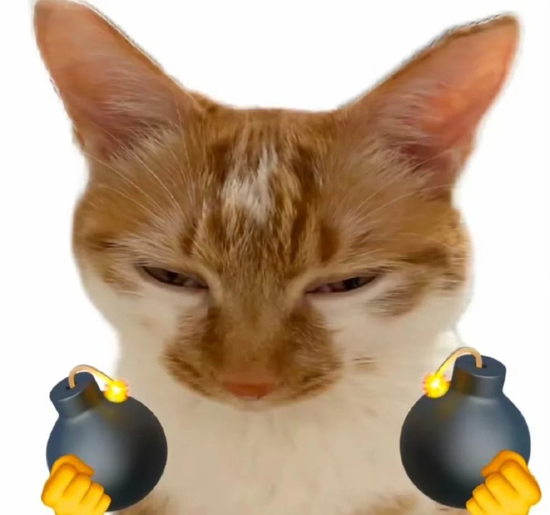meme lườm 32 meme lườm 32