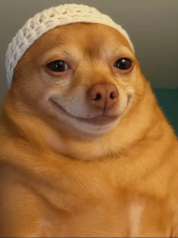 meme mặt gian xảo 3